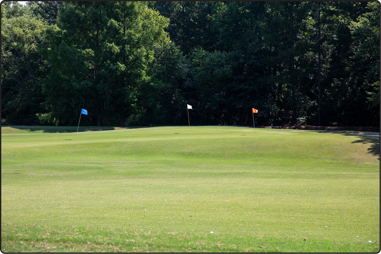 OUR SHORT-GAME GREENHAS 5 PINS TO AIM AT