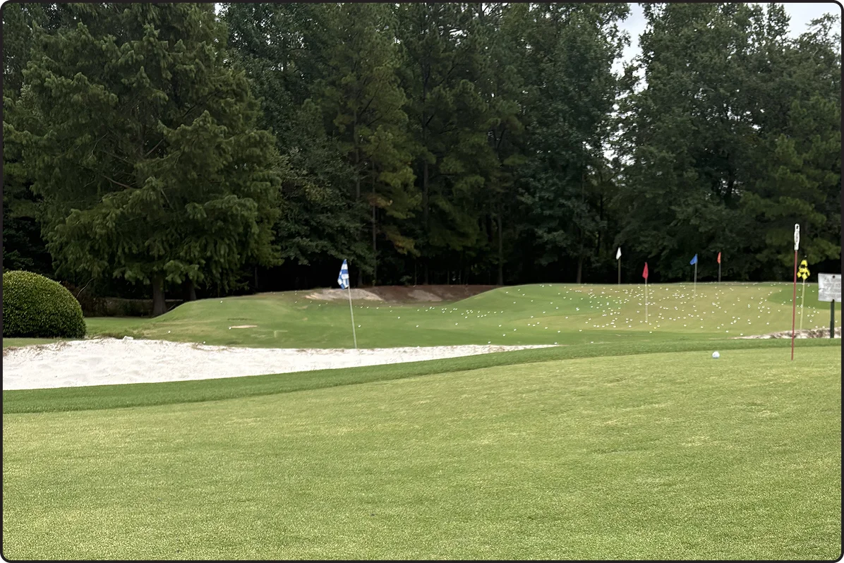 WE HAVE A Large Putting Green, Too
